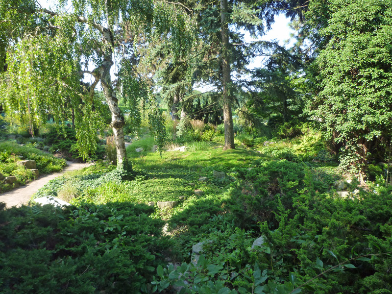il-giardino-di-Karl-Foerster-Potsdam-3