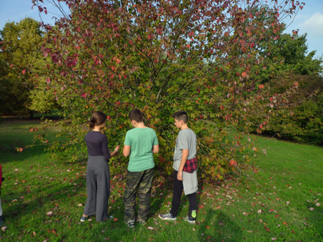 oltre-il-giardino-forli-WWF-8 oltre-il-giardino-forli-WWF-8