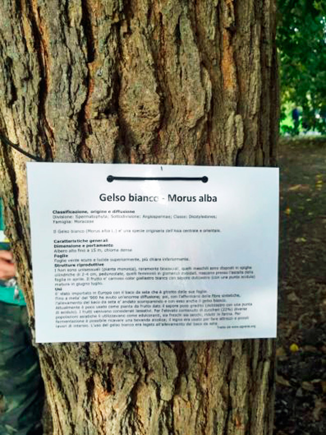 oltre-il-giardino-forli-WWF-9 oltre-il-giardino-forli-WWF-9